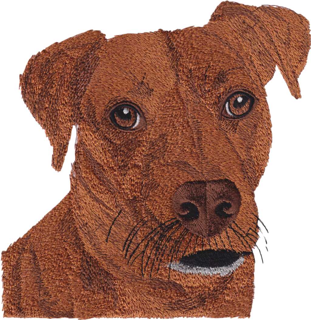 Rhodesian Ridgeback Dog - Animal and Pets Embroidery - Machine Embroid ...