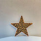 Leopard Star Iron On Patch: Embroidered Cheetah Print, Western Style (15 Pcs min)