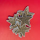 Leopard Star Iron On Patch: Embroidered Cheetah Print, Western Style (15 Pcs min)